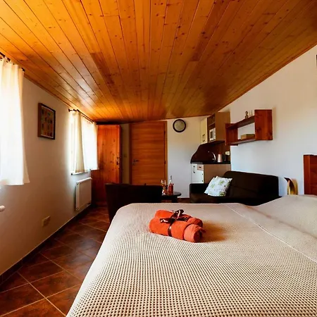Гостевой дом U Tri Ruzi - Adults Only