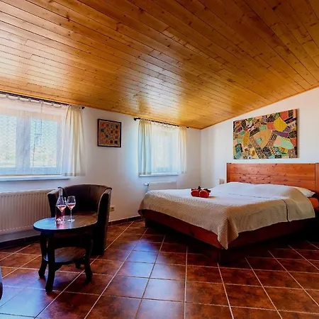 Гостевой дом U Tri Ruzi - Adults Only 3*