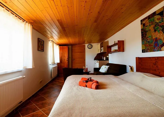 Pensjonat U Tri Ruzi - Adults Only